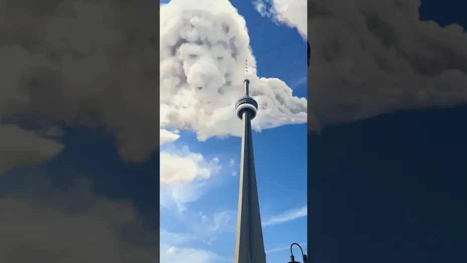 Видео к фильму Mufasa: The Lion King | Be the First to Watch at Home Today. Buy It Now Only On Digital