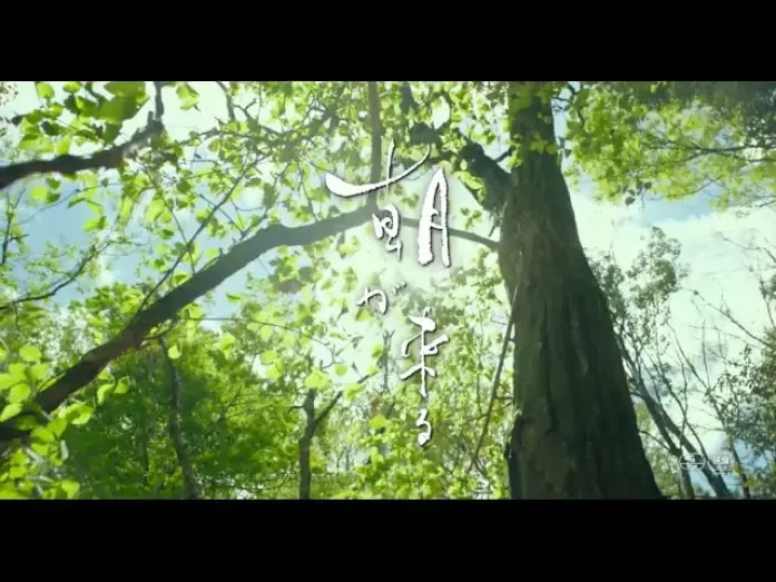 Видео к фильму Настоящие матери | #BIFF2020 Gala Presentation - True Mothers / 갈라 프레젠테이션 - 트루 마더스