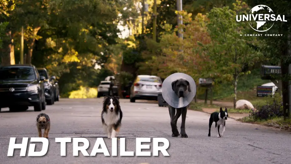 Видео к фильму Отвязные дворняги | Strays | offici&euml;le trailer/bande-annonce officielle