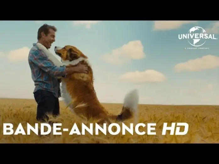 Видео к фильму Собачья жизнь 2 | Mes Autres Vies de Chien - Bande Annonce VOST