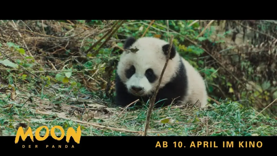 Видео к фильму Моя панда | Moon, der Panda | Exklusiv: Die 1. Minute des Films | Ab 10. April im Kino