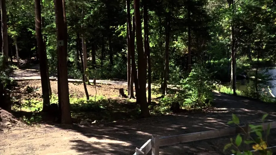 Видео к фильму Невероятное путешествие | Невероятное путешествие (1963) - Трейлер