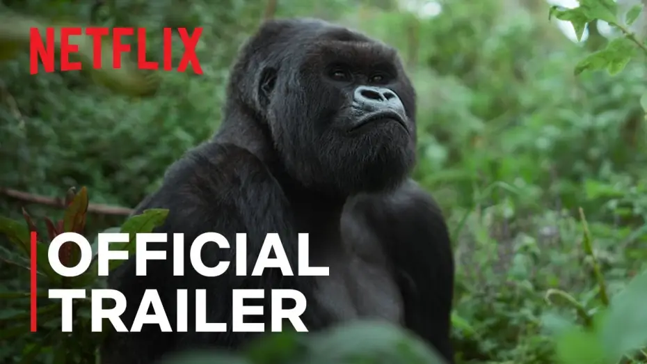 Видео к фильму A Gorilla Story: Told by David Attenborough | Official Trailer