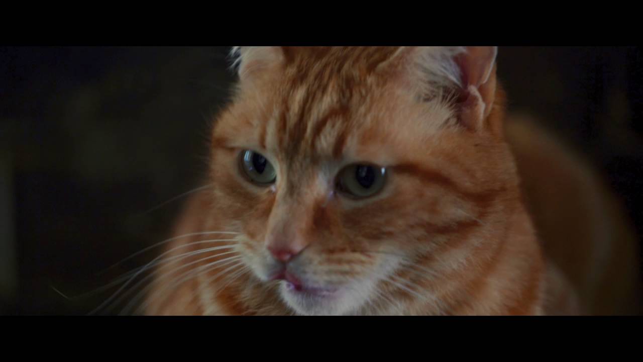 Видео к фильму Уличный кот по кличке Боб | A Street Cat Named Bob - Stairwell Clip - At Cinemas November 4