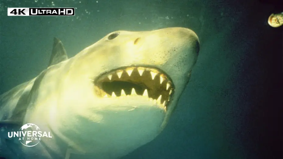 Видео к фильму Челюсти 3 | Shark Strikes When Nobody Expects - Extended Preview