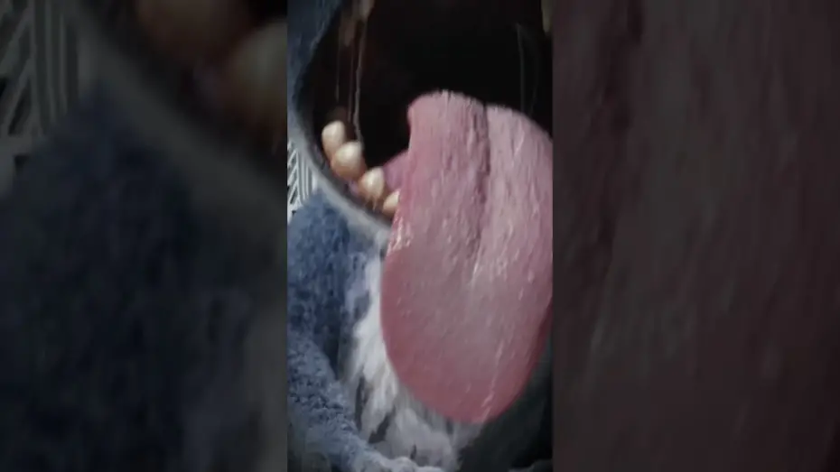 Видео к фильму Лило и Стич | Caught on camera