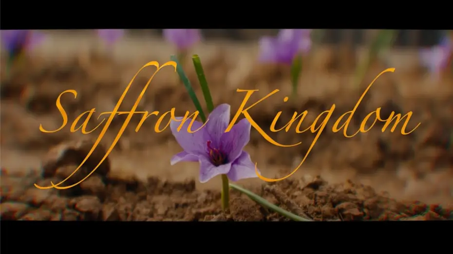 Видео к фильму Saffron Kingdom | Official Trailer 2