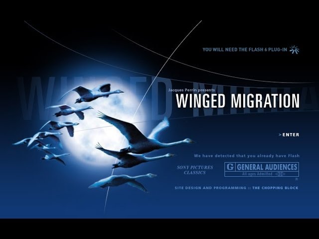 Видео к фильму Птицы | Winged Migration - Le Peuple Migrateur | Official Trailer