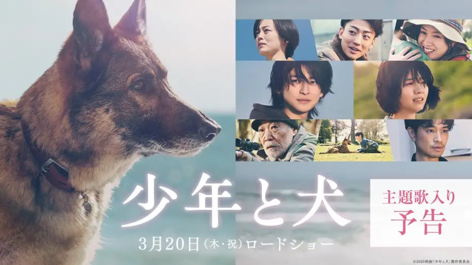 Видео к фильму 少年と犬 | 【主題歌 SEKAI NO OWARI「琥珀」】映画『少年と犬』主題歌入り予告映像【3月20日(木・祝)公開】