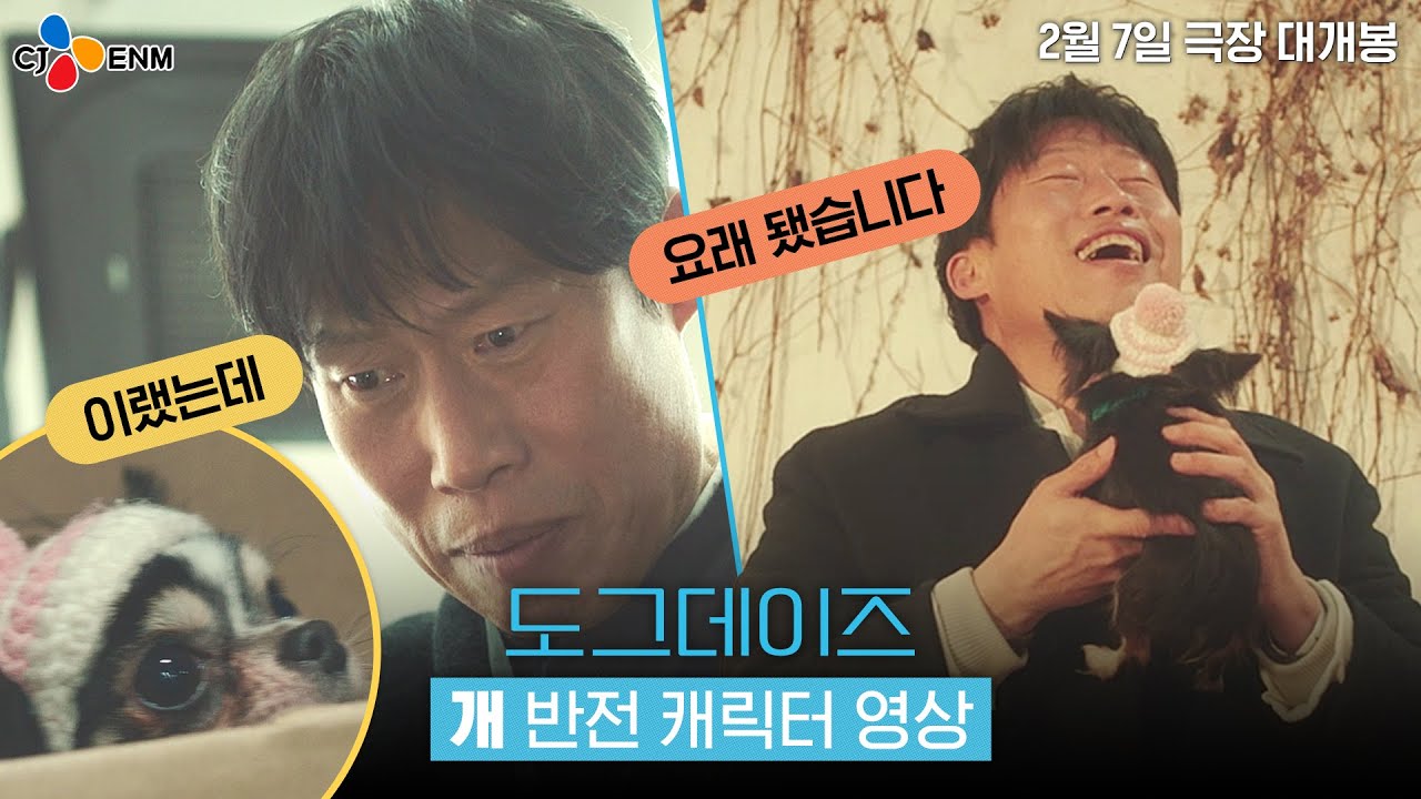 Видео к фильму Dog Days | 우리 가족을 소'개' 합니다! [도그데이즈] 개반전 캐릭터 영상