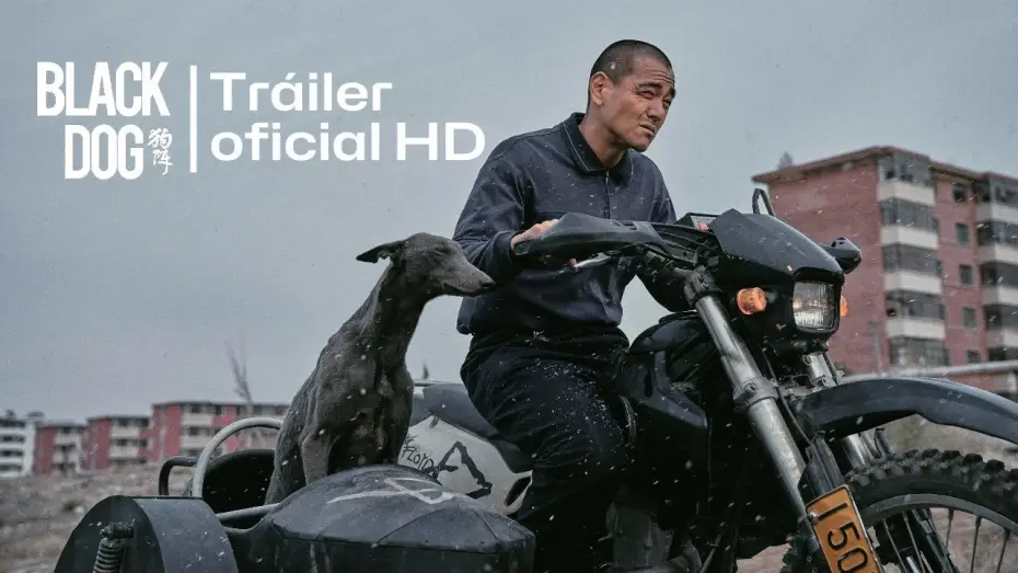 Видео к фильму Чёрный пёс | BLACK DOG (2024) 🇨🇳 Tr&aacute;iler oficial espa&ntilde;ol (HD) #trailer #estreno #blackdog #cinechino