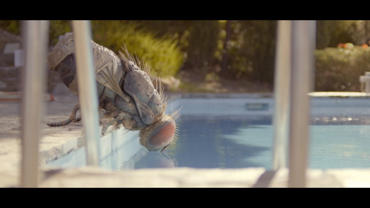 Видео к фильму Жвалы | &laquo;Жвалы&raquo; &ndash; трейлер с субтитрами&ndash; с 24 июня в кино