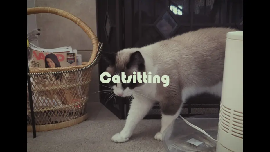 Видео к фильму Catsitting — Catsitting: A Found Footage Horror