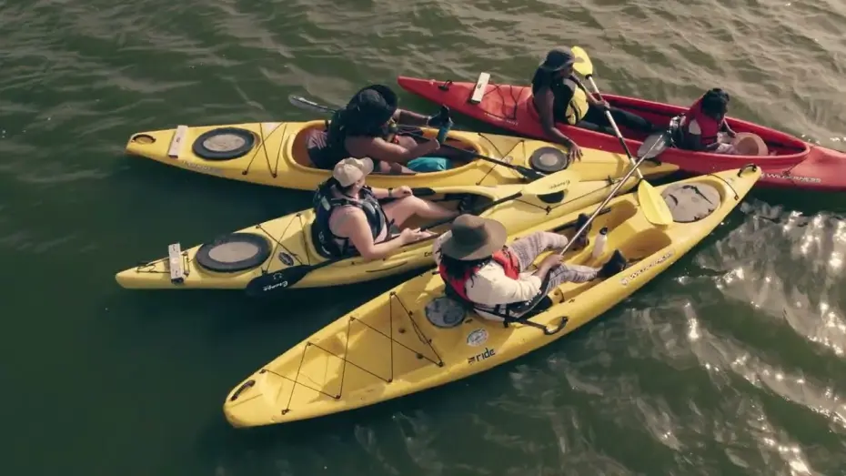 Видео к фильму A Splash of Color | A Splash of Color: Getting Black in the Water (Trailer)