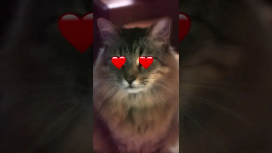 Видео к фильму Пойман с поличным | In Cinemas Sept 10