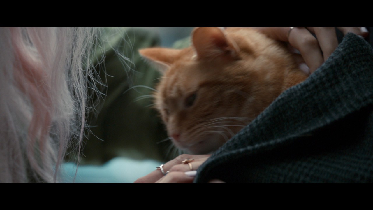 Видео к фильму Уличный кот по кличке Боб | Уличный Кот По Кличке Боб - Trailer