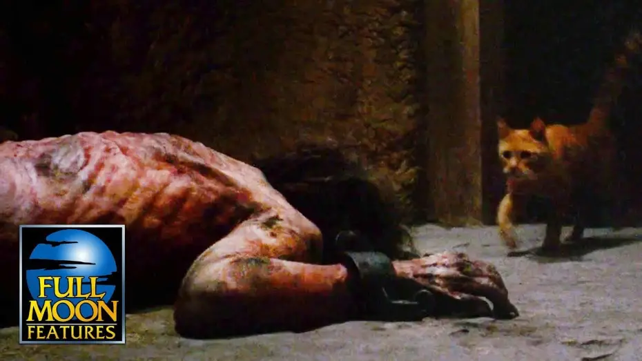 Видео к фильму Урод в замке | Lost Cat Leads Girl Straight To The Disfigured Prisoner