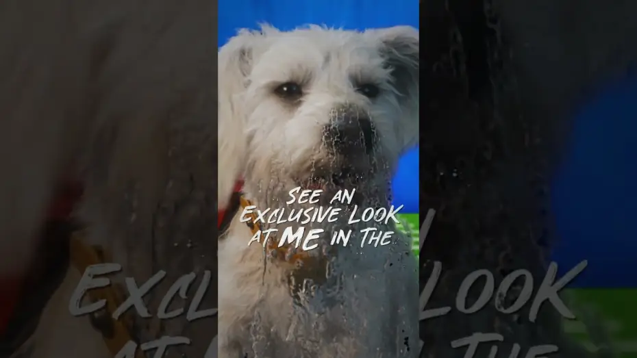 Видео к фильму Супергёрл | Tomorrow is the big day 🐾 Catch Krypto in Puppy Bowl