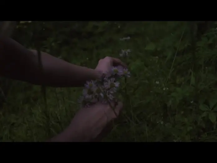 Видео к фильму ANYONE ELSE | "Alien Encounter" | Short Film