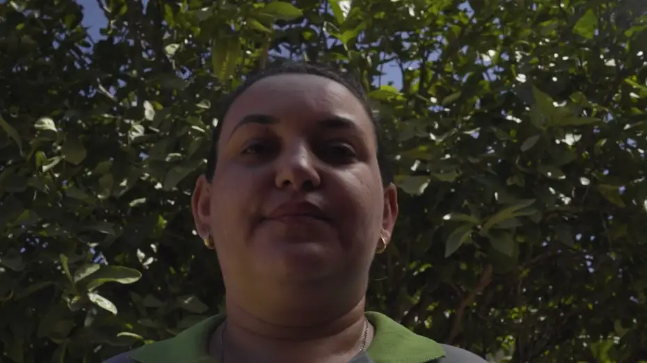 Видео к фильму O Ponto do Mel | TRAILER - O PONTO DO MEL