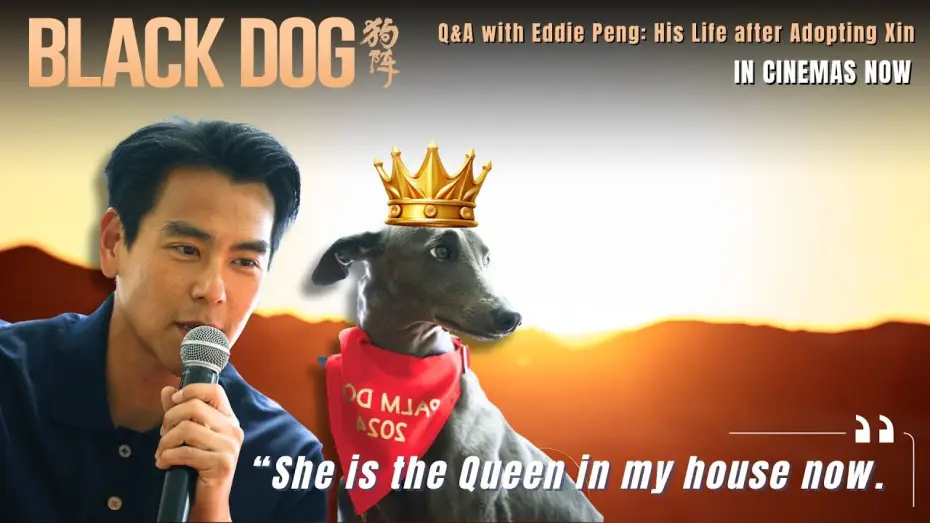 Видео к фильму Чёрный пёс | Q&A with Eddie Peng: "Xin is the Queen in my house now."
