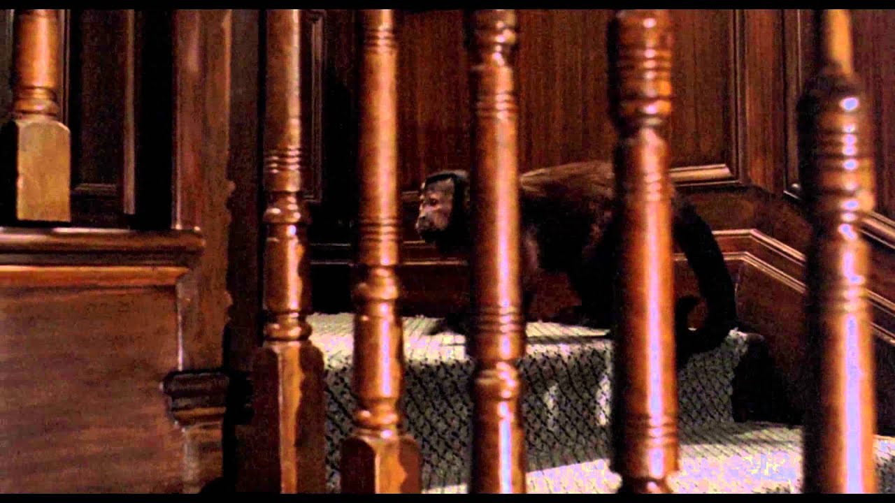 Видео к фильму Обезьяна-убийца | Ella Gets Revenge (1/1) Monkey Shines (1988) HD