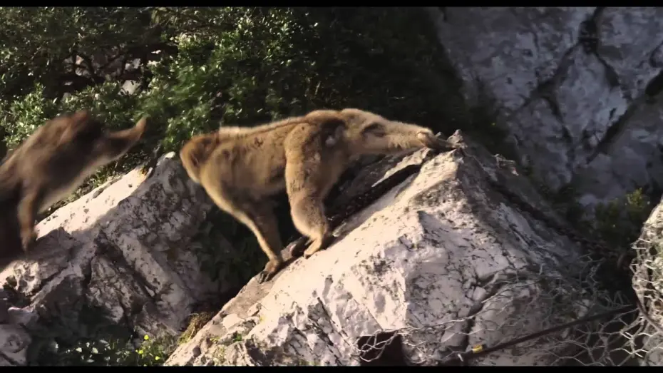 Видео к фильму Эль-Ниньо | Official Trailer