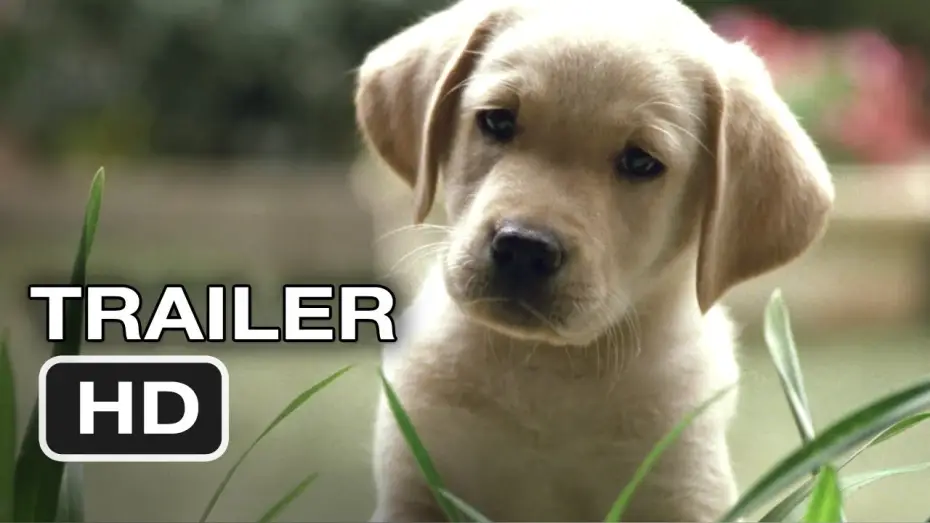 Видео к фильму Куилл | Quill The Life of a Guide Dog Official Trailer #1 (2012) HD Movie