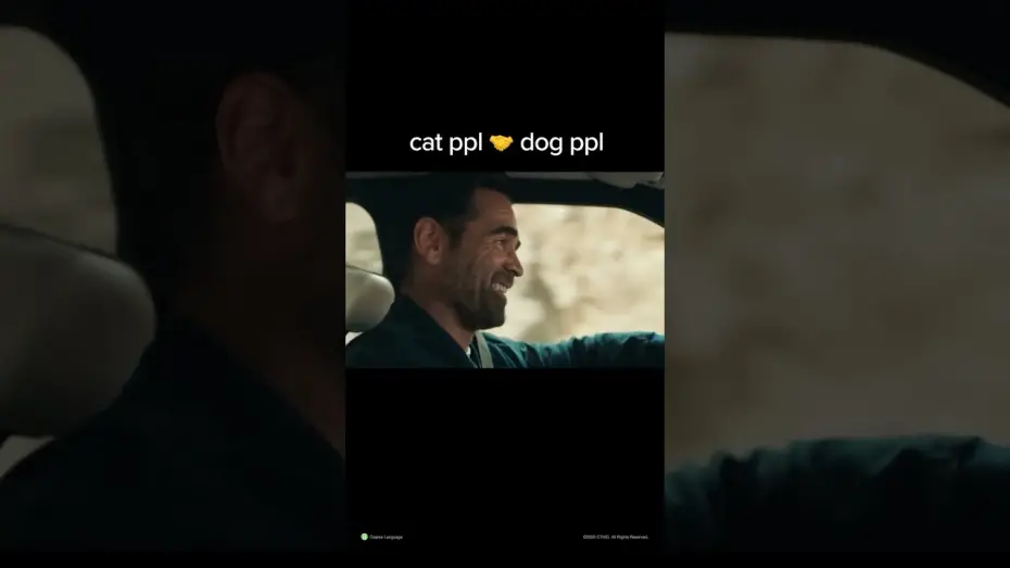 Видео к фильму Большое смелое красивое путешествие | Cat vs Dog People