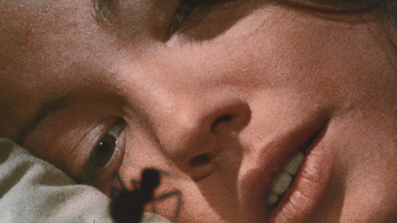 Видео к фильму Фаза 4 | Phase IV (1974) ORIGINAL TRAILER [HQ]