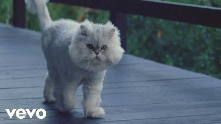 Видео к фильму Permanent Pleasure | Joywave - Permanent Pleasure | A Film by Joywave