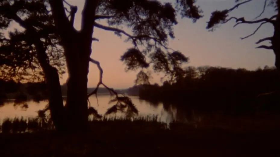 Видео к фильму Все оттенки тьмы | Bruno Nicolai - Magico Incontro - All the Colors of the Dark