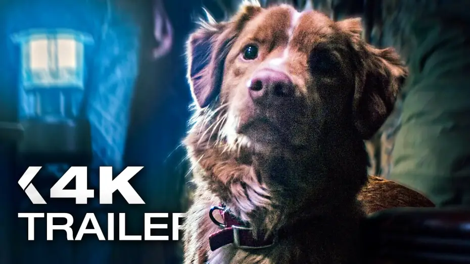 Видео к фильму Хороший мальчик | GOOD BOY: Trust his instincts Trailer German Deutsch (2025)