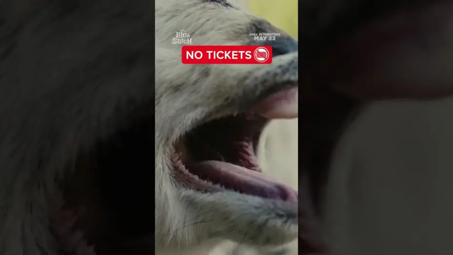 Видео к фильму Лило и Стич | mood.