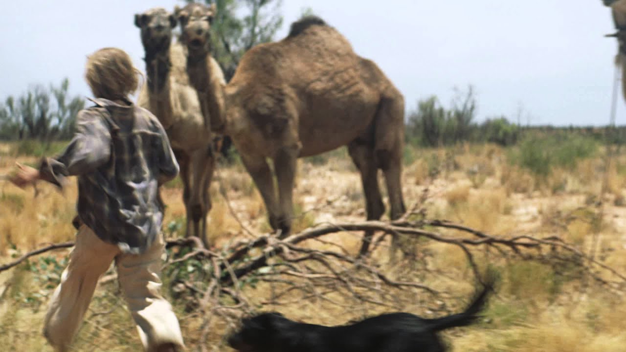 Видео к фильму Тропы | Тропы - Trailer