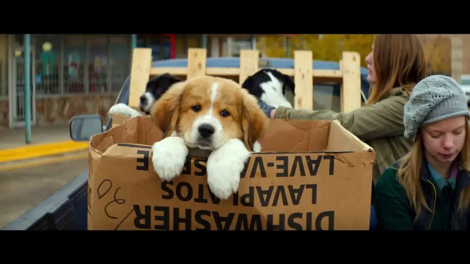 Видео к фильму Собачья жизнь | BAILEY &ndash; EIN FREUND F&Uuml;RS LEBEN - offizieller Teaser