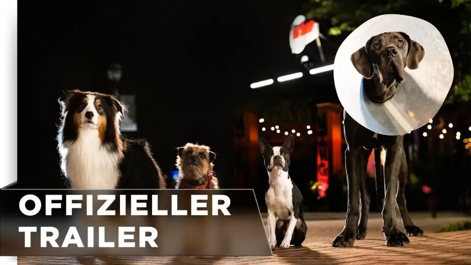 Видео к фильму Отвязные дворняги | Offizieller Trailer #2
