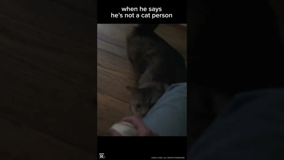 Видео к фильму Пойман с поличным | Cat Daddy