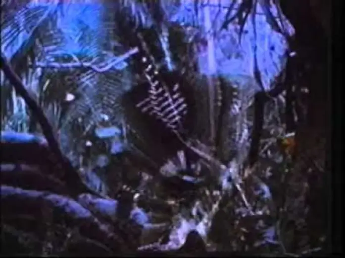 Видео к фильму Хищник | PREDATOR (1987) Con Arnold Schwarzenegger - Trailer Cinematografico