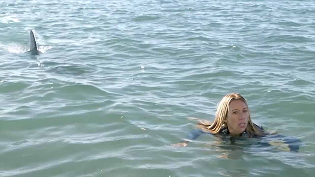 Видео к фильму Открытое море: Монстр глубины | The Reef: Stalked - Official Trailer [HD] | A Shudder Exclusive