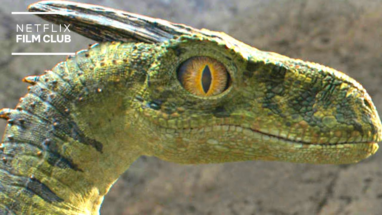 Видео к фильму Пузырь | Watch This Before You See The Bubble