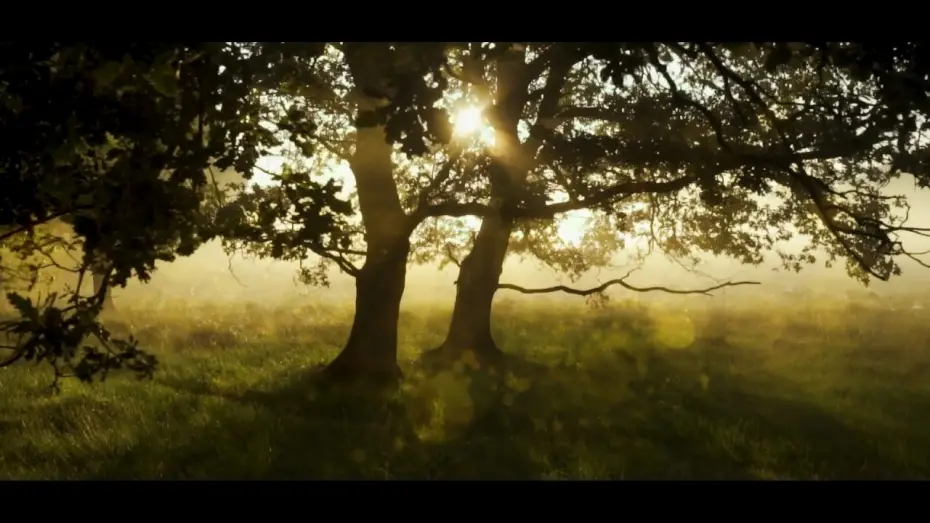 Видео к фильму Полутон | Relaxing Guided Meditation