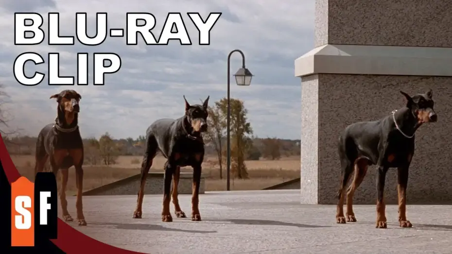 Видео к фильму В пасти безумия | Release The Hounds