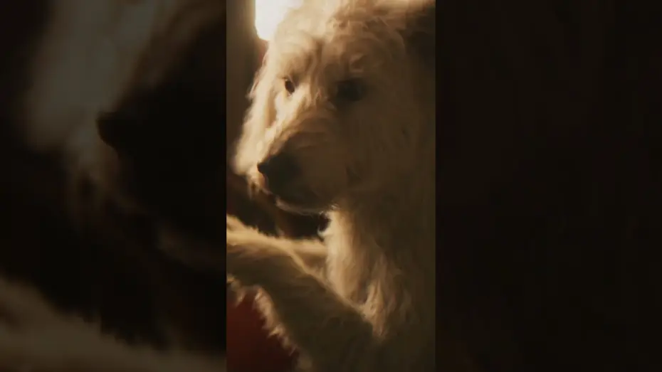 Видео к фильму Супергёрл | Still the goodest boy in the galaxy.