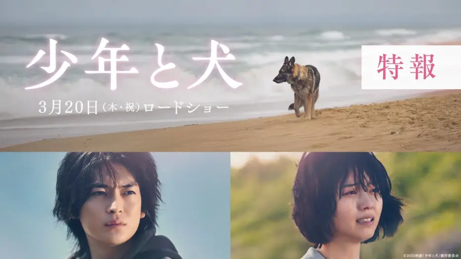 Видео к фильму 少年と犬 | 映画『少年と犬』特報映像【2025年3月20日(木・祝)公開】