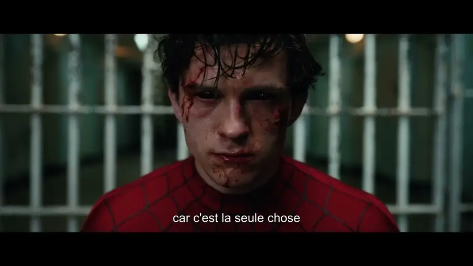 Видео к фильму Человек-паук: Новый день — Spider-Man : Brand New Day - Vignette Hidden Heroes