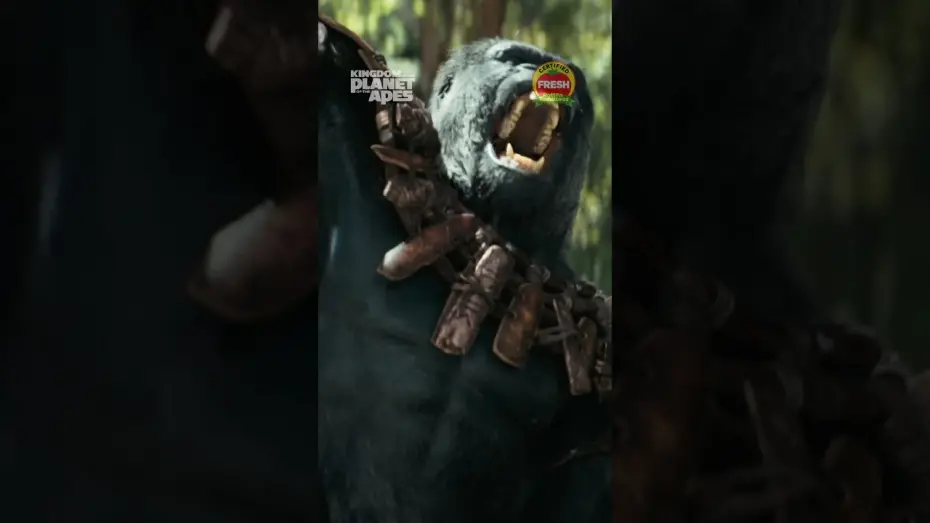 Видео к фильму Планета обезьян: Новое царство | Wonderful Day