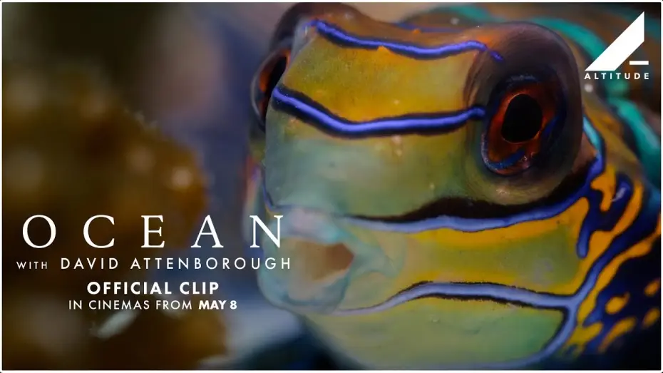 Видео к фильму Океан с Дэвидом Аттенборо | 'Variety Of Ocean Life' Clip