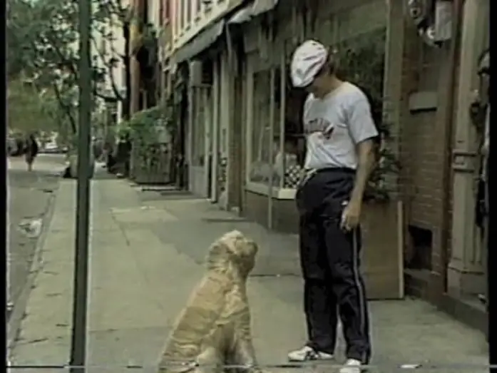 Видео к сериалу Удивительные истории — Amazing Stories on Letterman, September 30, 1985