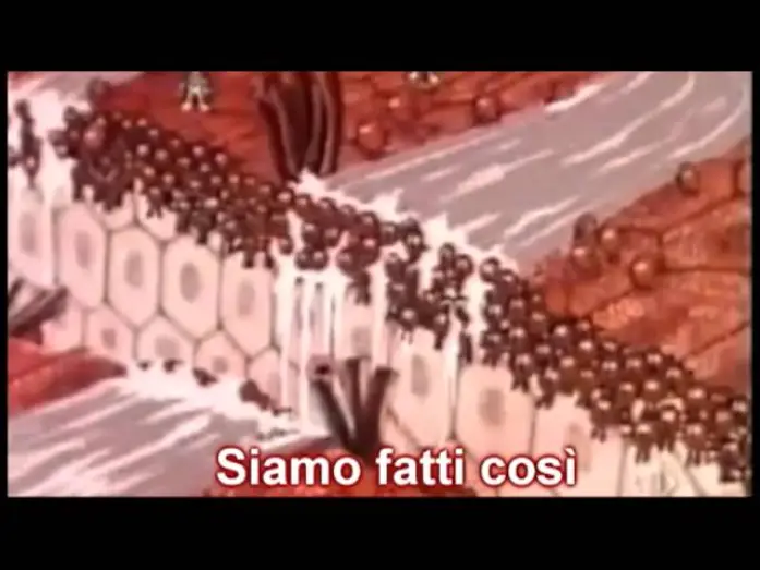 Видео к сериалу Жила-была Жизнь — siamo fatti così - esplorando il corpo umano - sigla